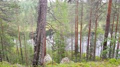 Suojelualueen useat lammet kaunistavat maisemakuvaa. Kuva Pekka Korhonen.