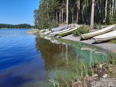 Sinilevää ja siitepölyä Kallaveden rantavedessä. Kuva: Jukka Hassinen (22.6.2020).