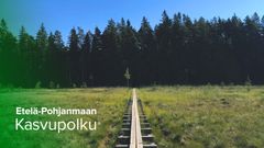 – Olemme ylpeitä siitä, miten upeita ja kasvuhakuisia yrityksiä Etelä-Pohjanmaalta löytyy ja on hakenut mukaan – etenkin näin koronapandemian aikana. Hienoa, että yrityksiltä löytyy rohkeutta lähteä hakemaan kasvua näinä epävakaina aikoina, Pohjanmaan Ekonomitoimisto Oy:n Anu Tieaho sanoo.