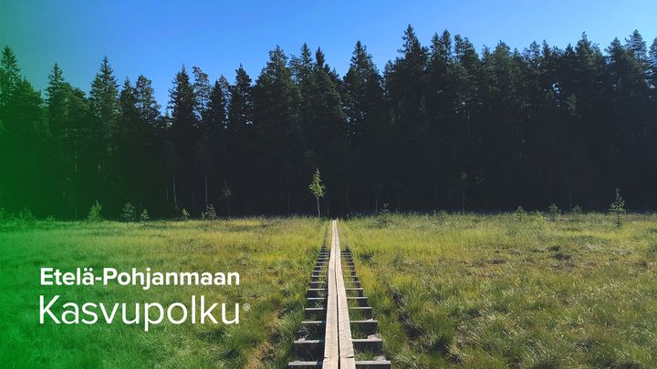– Olemme ylpeitä siitä, miten upeita ja kasvuhakuisia yrityksiä Etelä-Pohjanmaalta löytyy ja on hakenut mukaan – etenkin näin koronapandemian aikana. Hienoa, että yrityksiltä löytyy rohkeutta lähteä hakemaan kasvua näinä epävakaina aikoina, Pohjanmaan Ekonomitoimisto Oy:n Anu Tieaho sanoo.