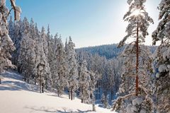 Rokua Geopark, Pookivaara, kuva: Hannu Kivelä