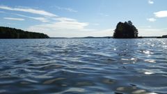 Kangasalan Vesijärvi välkehtii pääosin kirkkaana. Järvessä havaittiin sinilevää kuluvalla viikolla vain vähäinen määrä. Kuva: Sabina Mäki / Pirkanmaan ELY-keskus