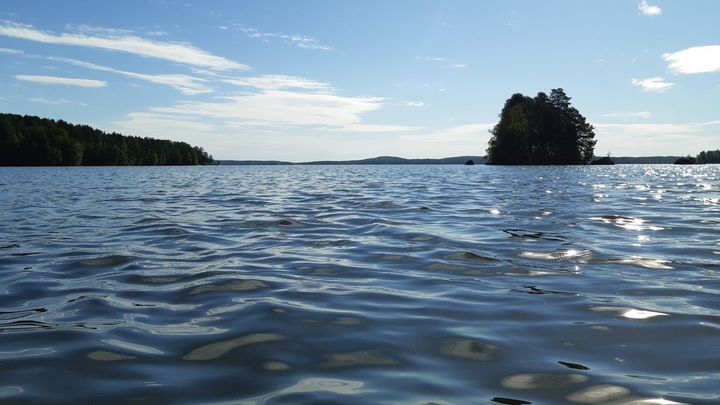 Kangasalan Vesijärvi välkehtii pääosin kirkkaana. Järvessä havaittiin sinilevää kuluvalla viikolla vain vähäinen määrä. Kuva: Sabina Mäki / Pirkanmaan ELY-keskus