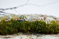 Vuoden kaunein sormus -kilpailussa on upeita, erilaisia sormuksia. Kuva: Teemu Töyrylä / Studio Töyrylä