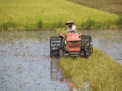 Mekong-joen suisto on lähes 20 miljoonan ihmisen koti ja globaalisti merkittävä riisinviljelyalue. Kuva: Marko Keskinen
