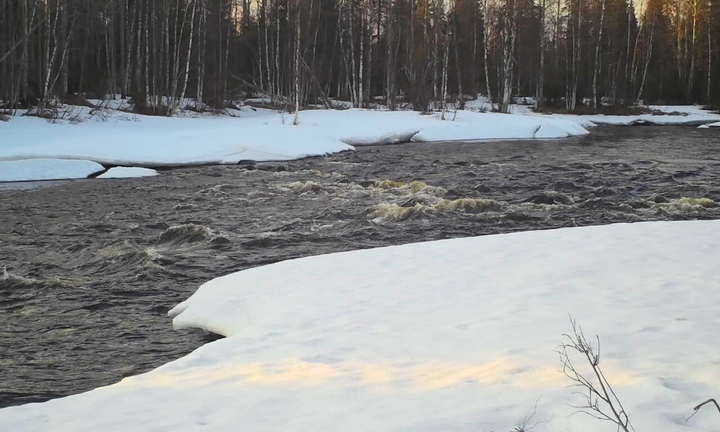 Tengeliönjoki 26.4.2023. Kuva: Lapin ELY-keskus