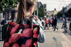 Hämeenmaan edustajisto valitaan suhteellisella vaalitavalla. Nelivuotiselle kaudelle valitaan 45 edustajaa.