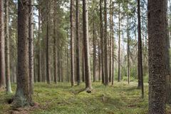 Kuva: Julia Hautojärvi/Maanmittauslaitos