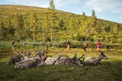 Valoisan yön lisäksi eksotiikkaa voivat reitin varrelle kerääntyvät katsojat. Kuva Rami Valonen.   