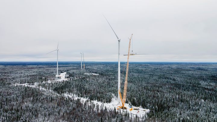 Pajuperänkankaan tuulivoimapuisto Haapajärvellä. Kuva: Infinergies Finland Oy / Timo Heikkala
