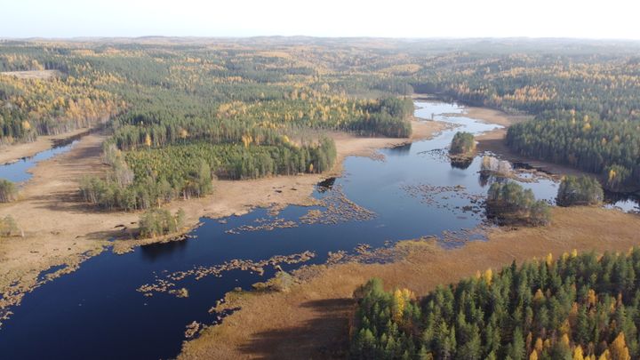 Luhtapohjan suojelualue. Kuva: Mika Pirinen, Tornator Oyj.