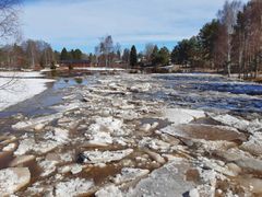 Jäät liikkuvat Malisjoella 21.4.2023. Kuvaaja Miikka Annunen.