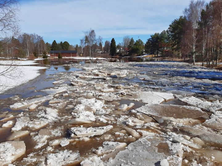 Jäät liikkuvat Malisjoella 21.4.2023. Kuvaaja Miikka Annunen.