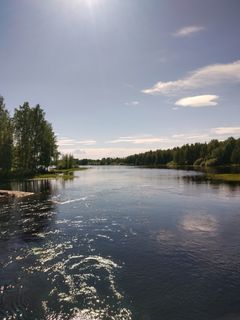 Utransaaret Joensuussa. Kuva: Jere Laine / Pohjois-Karjalan ELY-keskus.