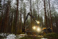 Kartongin valmistamiseen käytetään hakkuilta kertyvää havukuitupuuta. Kuva: Stora Enso / Martu Väisänen