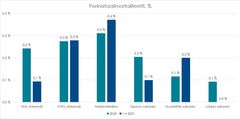 Perinataalimortaliteetti HUSin synnytyssairaaloissa prosentteina kaikista syntyneistä lapsista, vertailuna tammi–huhtikuu 2021 ja vuosi 2020.