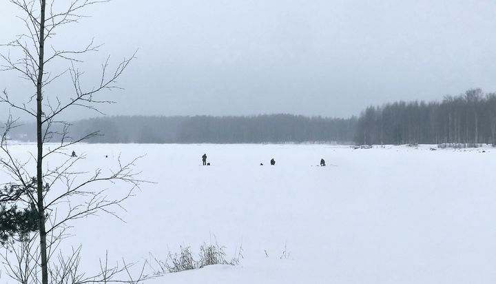 Jäällä liikuttaessa on yhä noudatettava varovaisuutta etenkin virtaamakohdissa. Pilkkijöitä Pielisjoen jäällä 14.1.2023. Kuva: Ilkka Elo / Pohjois-Karjalan ELY-keskus.