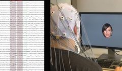 Tutkijat hyödynsivät aivojen ja tietokoneen toimintaa yhdistäviä käyttöliittymiä ja tekoälymenetelmin tulkittavia EEG-mittauksia. Tuloksena kone onnistui luomaan eri yksilöitä miellyttäviä kasvokuvia.