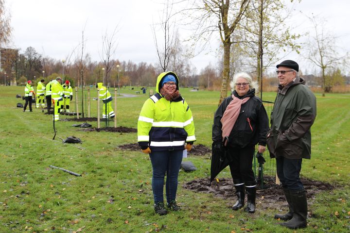 Grönområdeshortonom Leila Roininen, Raija och Vesa Bono. Bild: Susanna Saari