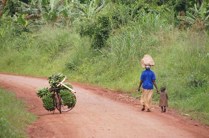 En kvinna och ett barn i Uganda med "matoke", dvs. matlagningsbanan som är en stapelvara i Uganda. Bild: Mila Sell