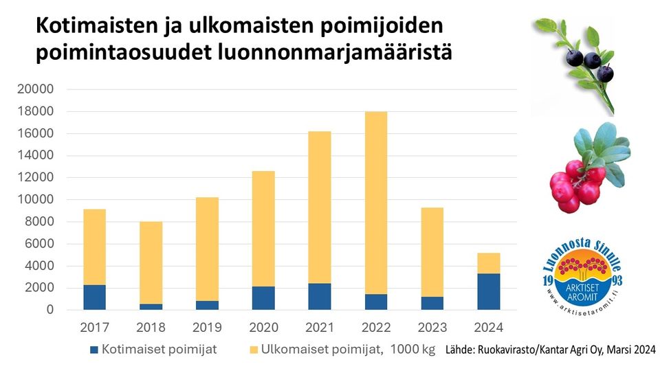 Poimintaosuudet_2024
