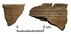 Etelä-Suomesta löytyneitä nuorapainantein koristeltuja kivikaudenaikaisia ruukunsirpaleita. Kuva: Elisabeth Holmqvist-Sipilä
