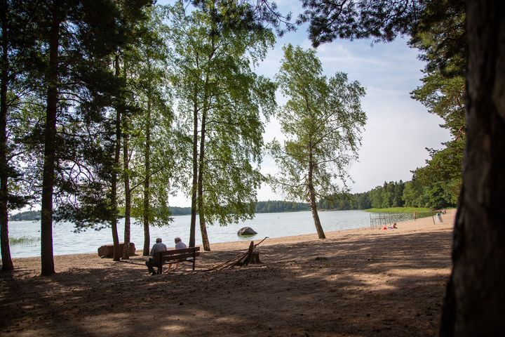 Sinilevää ei havaittu. Helsingin kaupungin uimarantojen kunto tarkastetaan tällä ja ensi viikolla.