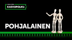 Yritysvalinnoissa keskityttiin yrityksiin, joilla oli paitsi kasvupotentiaalia, myös intoa tekemiseen.