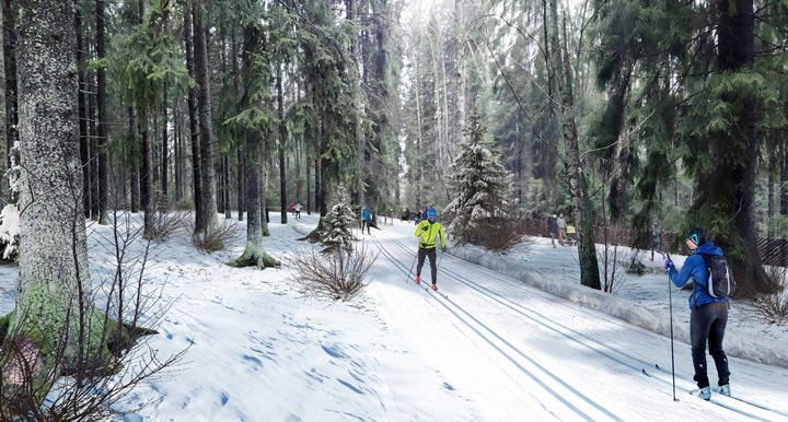 Havainnekuva Kuninkaantammen eteläpuolen ladusta. Kävely- ja pyöräilyreitti kulkee ladun vierellä. Kuva: WSP