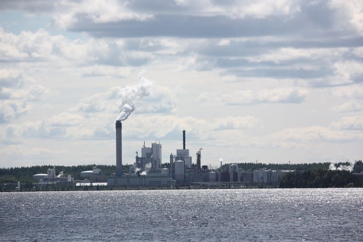 Metsäteollisuuden ympäristölupien noudattamista valvotaan ELY-keskuksessa.