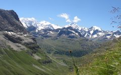 Alpit ovat muuttumassa entistä vehreämmiksi. Näkymä Sveitsin Val da Fainilta kohti Piz Berninaa. Kuva: Sabine Rumpf