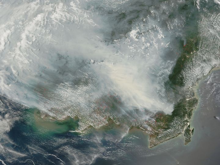 Satelliittikuva Borneosta vuonna 2006. Saari peittyy punaisilla pisteillä merkityistä paloista lähtevään savuun. Kuva: Jeff Schmaltz, MODIS Rapid Response Team / NASA