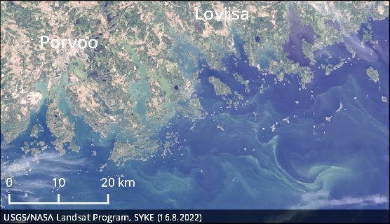 Sinilevää on havaittu lahdelmissa ei puolilla rannikkoa, kuten Porvoon ja Loviisan edustalla Suomenlahdella 16.8.2022. Kuva: SYKE / TARKKA