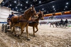 Vauhdikas valjakkoajo on yksi esiteltävä laji GoExpo Horsessa. Kuva: Messukeskus, Heidi Koivunen.