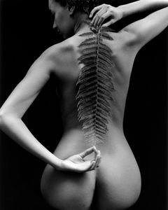 Nude and Fern - ©Kim Weston Photography LLC