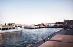 “The pavilion sought its inspiration from the Helsinki archipelago and Vallisaari in particular. It is shaped like a coastal cliff, wrapped into a circle around a centre resembling a giant's kettle. To bring contrast, the natural shapes are paired with a strong graphical expression, integrated into the pavilion structure,” describes Chief Designer Jussi Palva from Verstas Arkkitehdit. Photo: Verstas Arkkitehdit Oy.