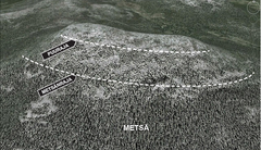 Esimerkki metsän- ja puurajavyöhykkeiden sijainnista tunturin rinteellä.