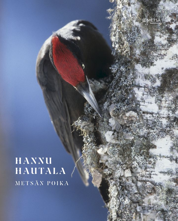 Hannu Hautala - Metsän poika