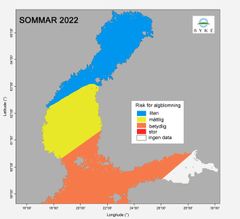 Algblomningsrisk 2022. Ingen uppskattning har gjorts för det vita området eftersom vinterns näringsuppgifter saknas. © SYKE