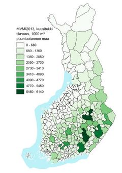 Kuusitukin kokonaistilavuus puuntuotannon metsä- ja kitumaalla kunnittain. Sisältää Maanmittauslaitoksen Kuntajako 1:10 000 (2014) aineistoa.