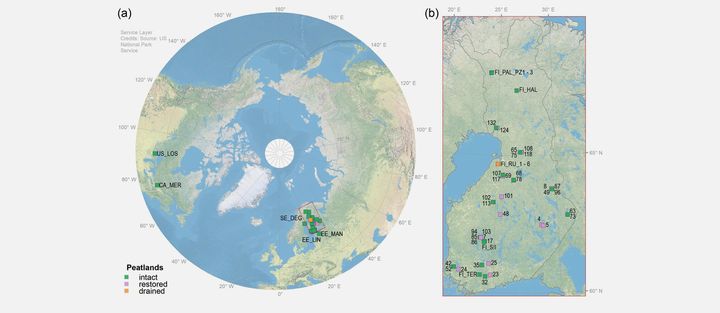 53 suotutkimusalueen sijainnit on esitetty (a) pohjoisella pallonpuoliskolla ja (b) suurennettuna vain Suomen osalta. Värit osoittavat turvemaiden olosuhteita: ehjä (vihreä), kunnostettu (violetti) ja kuivattu (oranssi). Kuva: Aalto-yliopisto