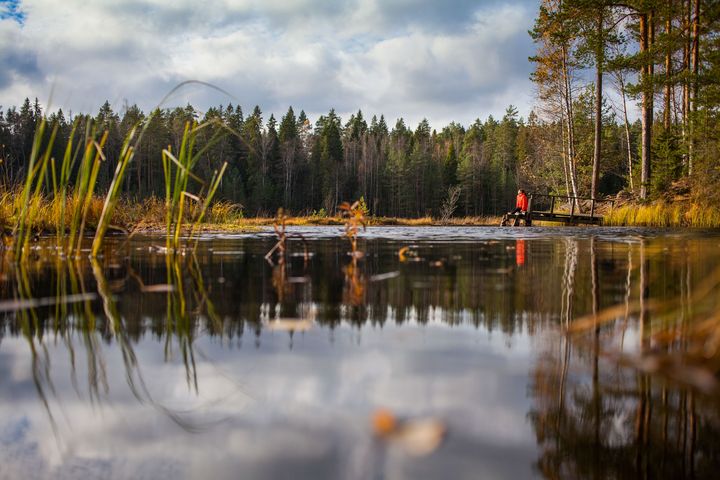 CarbonWise -hankkeen aikana on tehty useita konkreettisia toimia hiiliviisauden edistämiseksi.