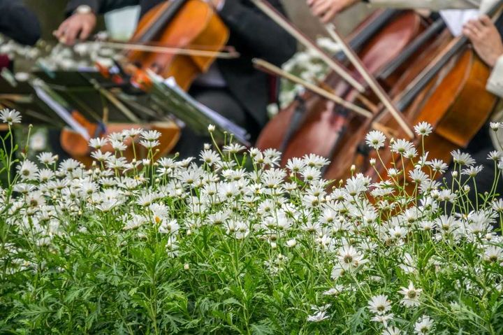 Suomen festivaalikesän yleensä avaava Naantalin Musiikkijuhlat joutuu peruuttamaan
kesäkuun yleisökonsertit koronatilanteesta johtuen.