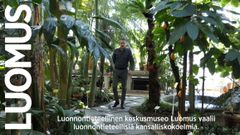 Leif Schulman Kaisaniemen  kasvitieteellisessä puutarhassa. Kuvakaappaus videolta.