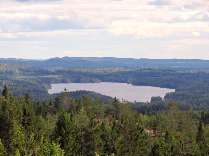 Jero-järvi Pohjois-Karjalassa. Kuva: Ilkka Elo / Pohjois-Karjalan ELY-keskus.