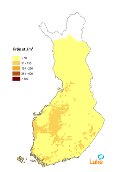 Figur 3. Preliminär prognos för granens fröskörd för våren 2017 på basis av prognosmodeller och knoppanalyser.