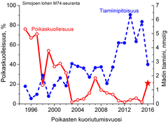 Kuvassa on Simojoen lohien poikaskuolleisuus koehaudonnoissa vuosina 1995−2015 ja vastaavan mädin tiamiinipitoisuus edellisenä syksynä – siis syksyn 2015 mädin tiamiinipitoisuus vuoden 2016 kohdalla. Tähdellä on merkitty syksyllä 2015 näytteeksi saaduista 19 emosta niiden enimmäisosuus, joiden jälkeläiset tänä keväänä kärsivät tiamiininpuutoksesta.