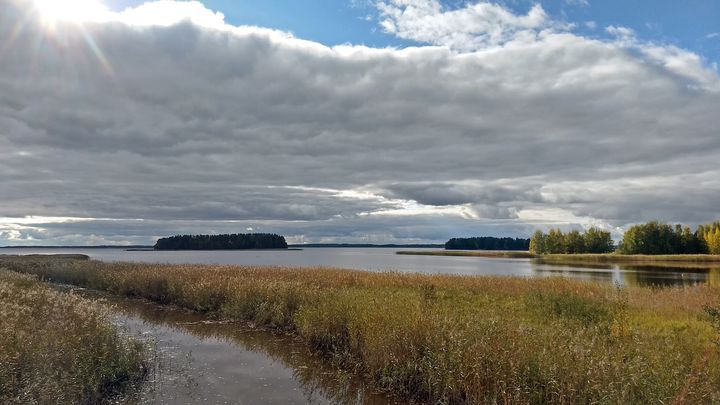 Pyhäselän vedenkorkeus oli syyskuun lopussa noin 13 cm ajankohdan keskitason alapuolella. Kuva: Ilkka Elo / Pohjois-Karjalan ELY-keskus.