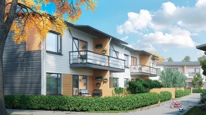Luonnos Espoon Painiityn Kotipuu-kodeista. Aiheeseen liittyviä muita kuvia on saatavilla: ilona.kangas@dqc.fi tai soittamalla puh. 050 590 7853.