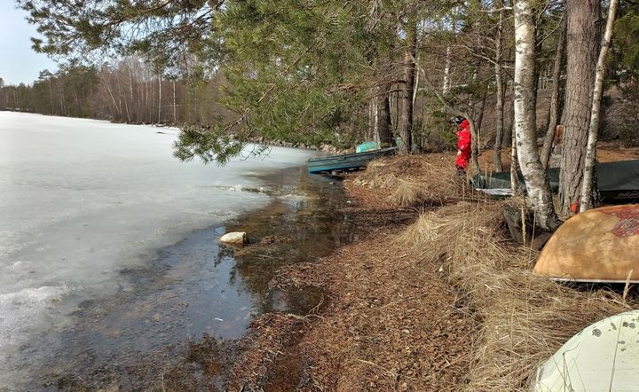 Korpijärven rannasta jää on alkanut sulaa. Kuva: Juuso Pätynen.